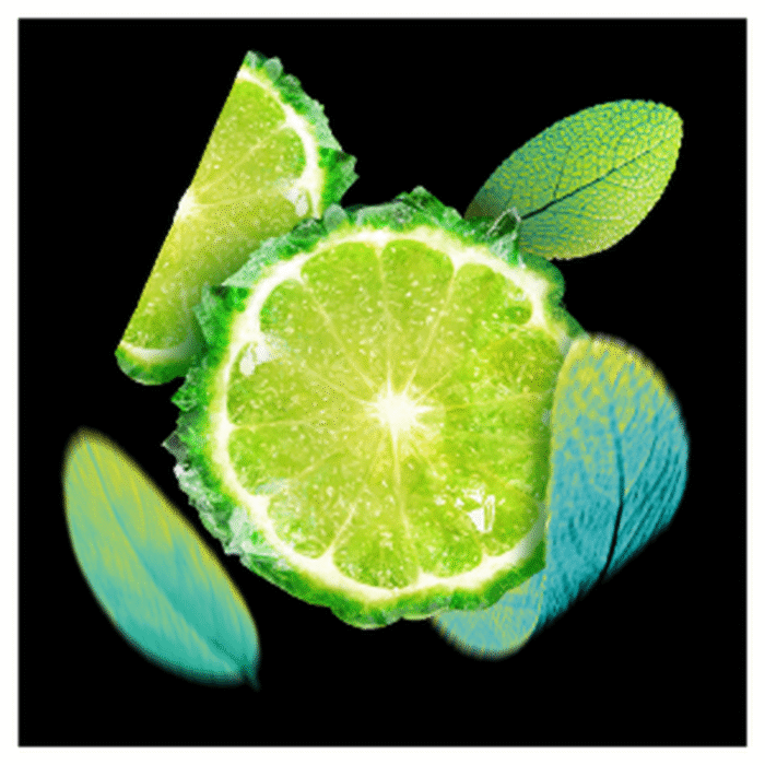 Desodorante AXE Aerosol BodySpray AQUA CITRUS 150ML - Imagen 4